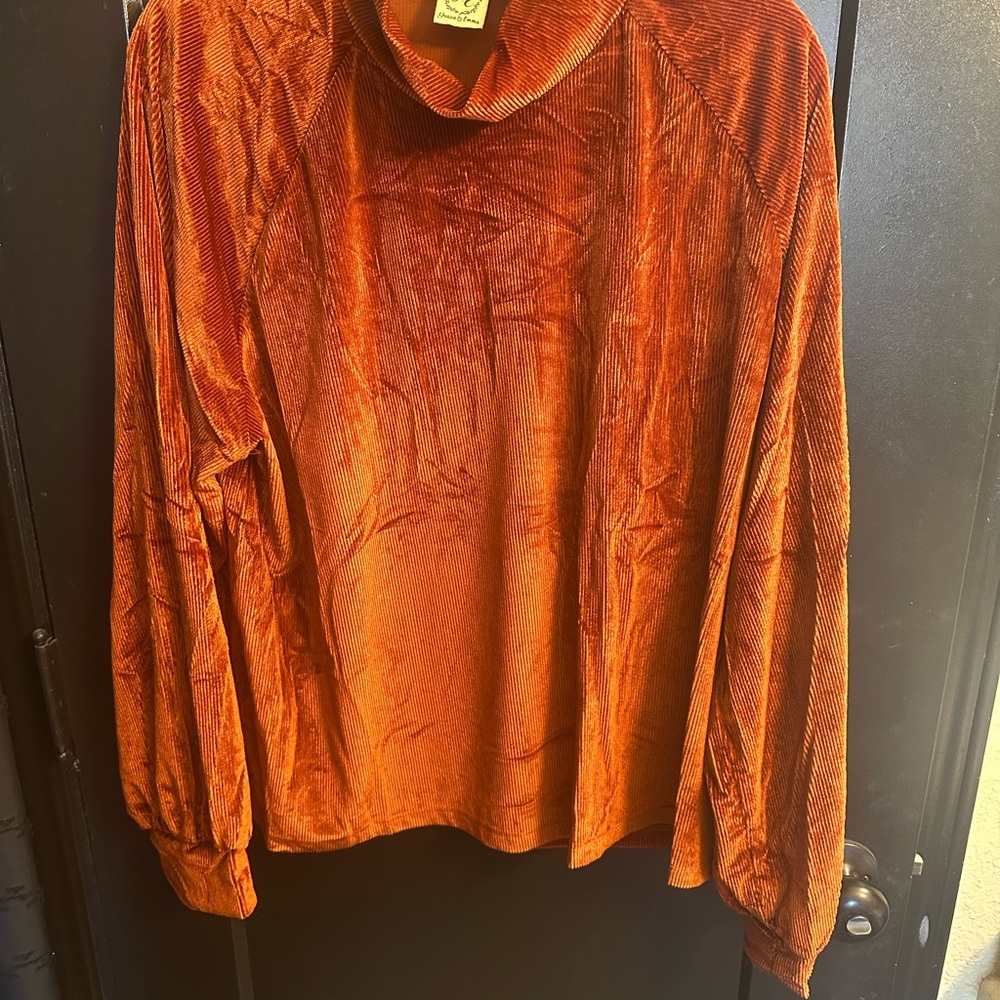 Velvet Burnt Orange Women's Top